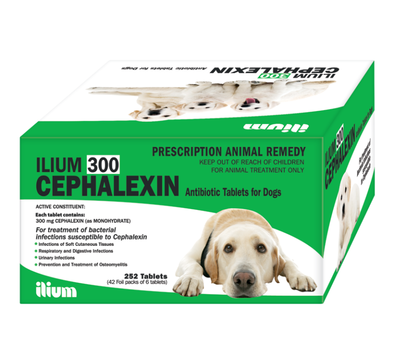 ilium Cephalexin 300mg (252 Tablets) Troy Animal Healthcare Australia