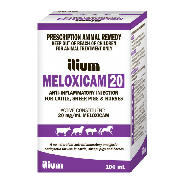 Meloxicam 20 AntiInflammatory Injection Troy Animal Healthcare