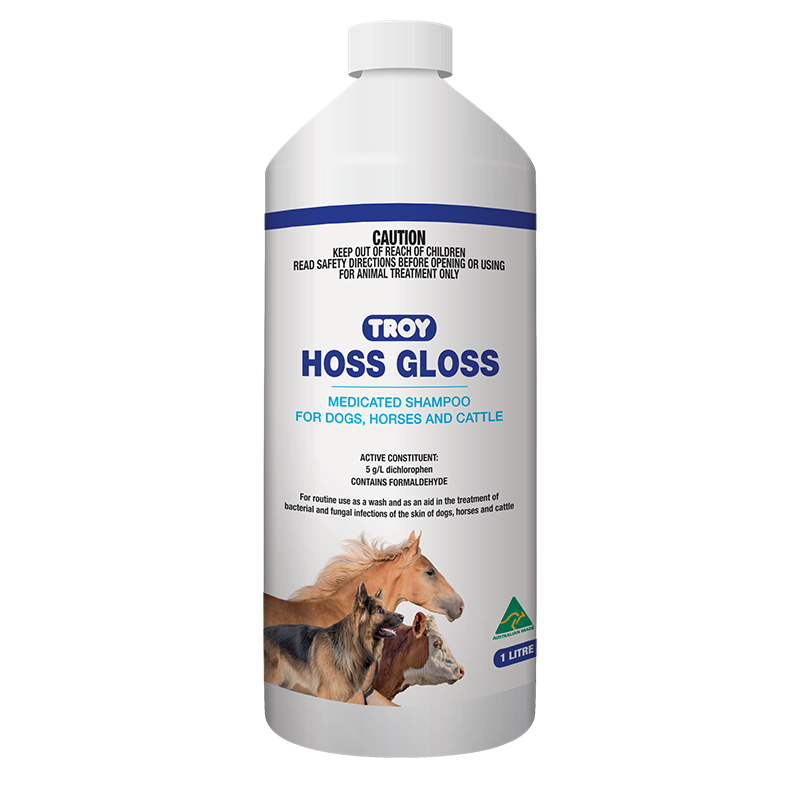 Troy Hoss Gloss Medicated Shampoo