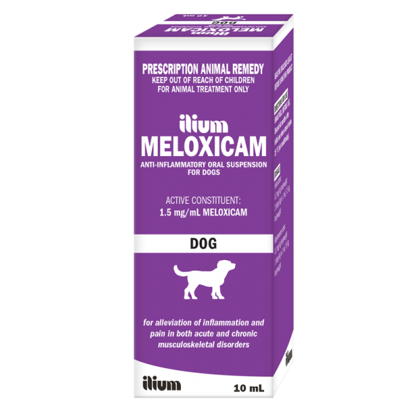 ilium Meloxicam Suspension for Dogs 10mL – Troy Animal Healthcare