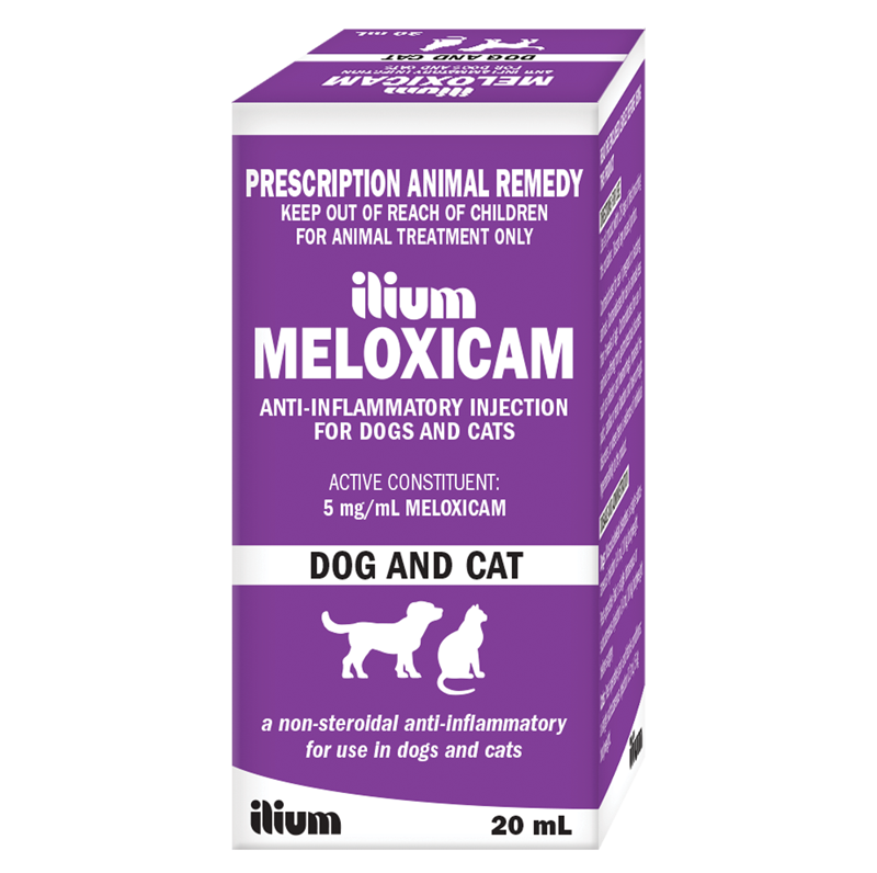 ilium Meloxicam 5 Injection for Dogs and Cats Troy Animal Healthcare