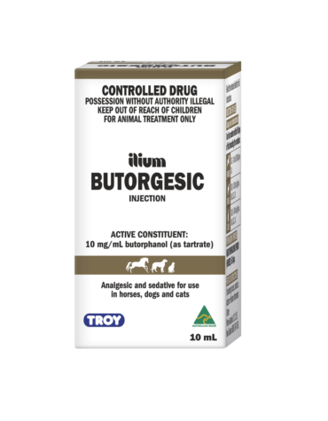 ilium Butorgesic Injection