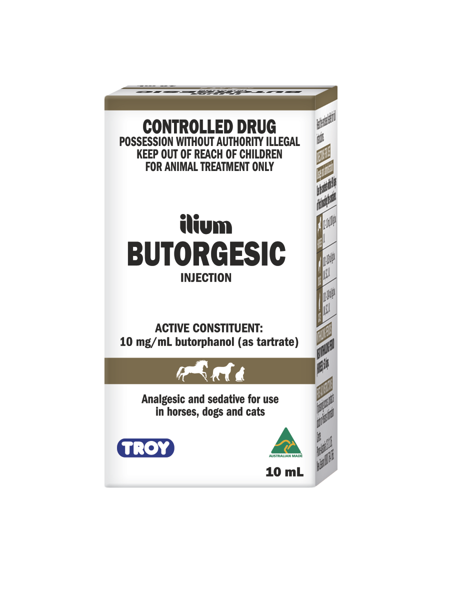 ilium Butorgesic Injection