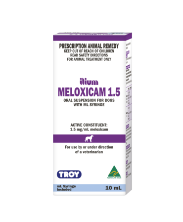 ilium Meloxicam Suspension for Dogs with ML Syringe